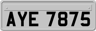AYE7875