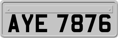 AYE7876