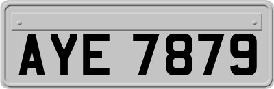 AYE7879