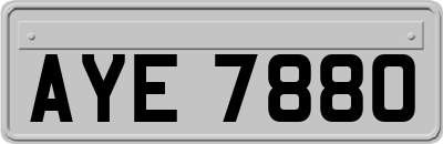 AYE7880