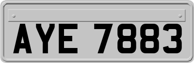 AYE7883