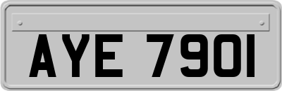 AYE7901