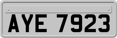 AYE7923