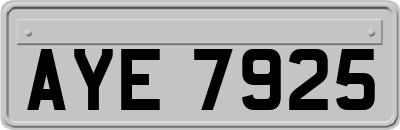 AYE7925