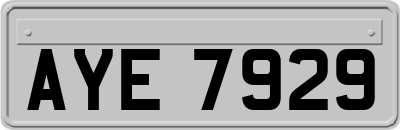 AYE7929