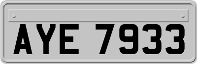 AYE7933