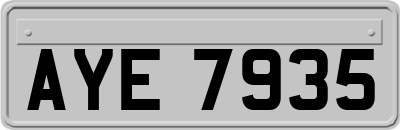 AYE7935
