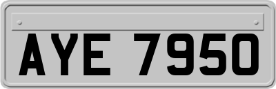AYE7950