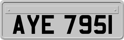 AYE7951