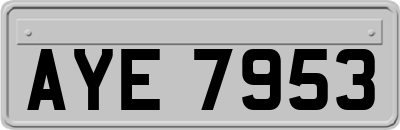 AYE7953