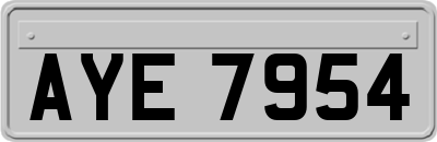 AYE7954