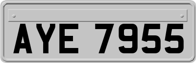 AYE7955