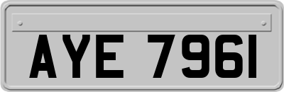AYE7961