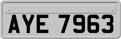 AYE7963