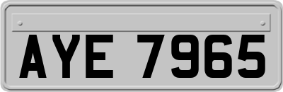 AYE7965
