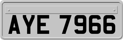 AYE7966