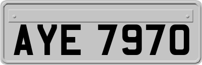 AYE7970
