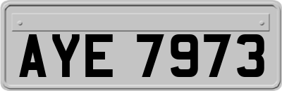AYE7973