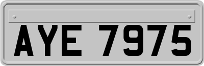 AYE7975