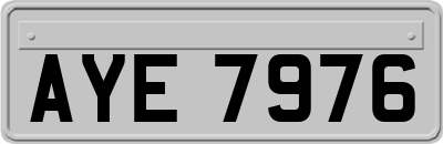 AYE7976