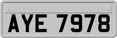 AYE7978