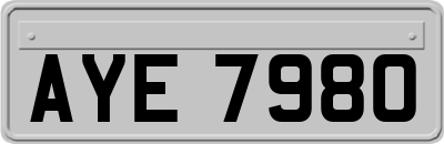 AYE7980