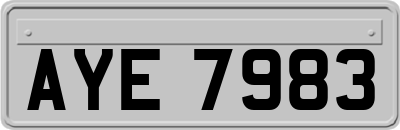 AYE7983