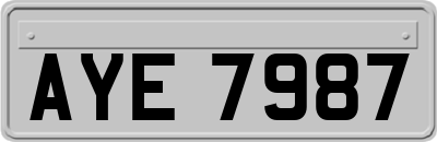 AYE7987