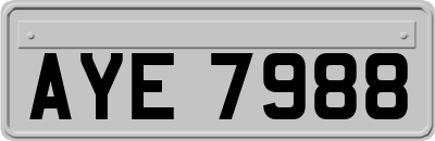 AYE7988