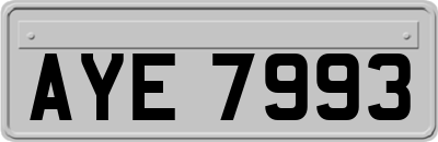 AYE7993