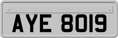 AYE8019