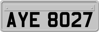 AYE8027