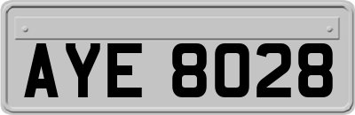 AYE8028