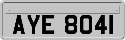 AYE8041