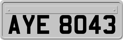 AYE8043