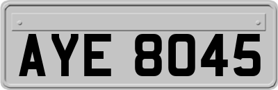 AYE8045