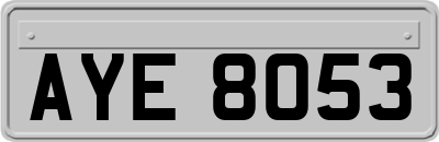 AYE8053