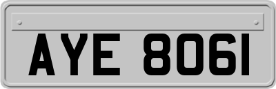 AYE8061