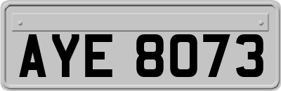 AYE8073