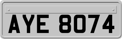AYE8074