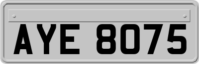 AYE8075