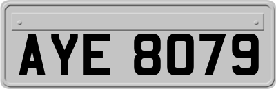 AYE8079