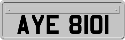 AYE8101