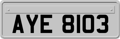 AYE8103