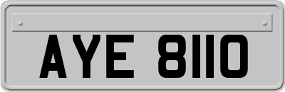 AYE8110