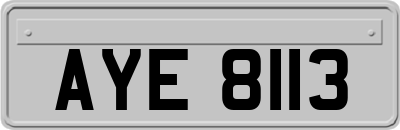 AYE8113