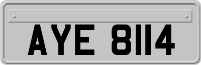 AYE8114