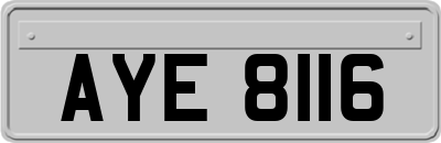 AYE8116