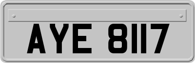 AYE8117
