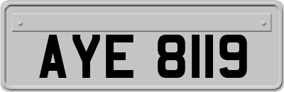 AYE8119